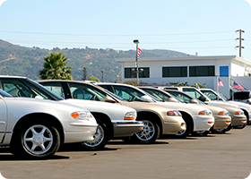 Auto Dealer